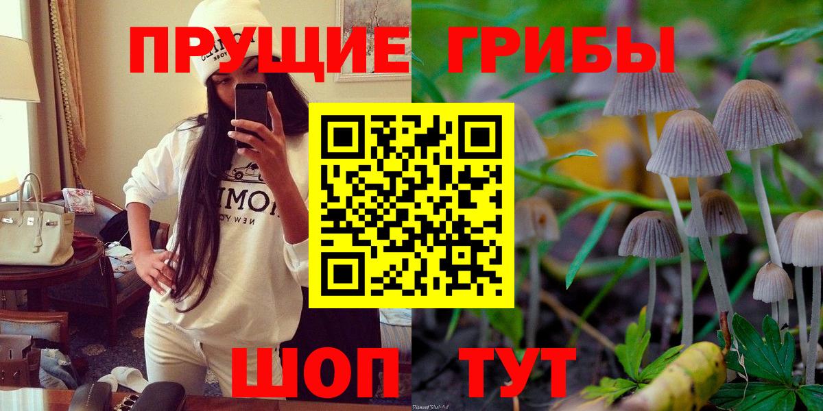 Галлюциногенные грибы GOLDEN TEACHER Кашира