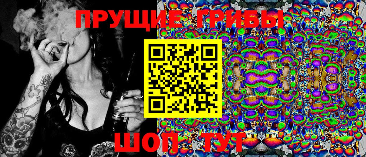 Кашира  Галлюциногенные грибы Psilocybine cubensis  Вход с VPN 