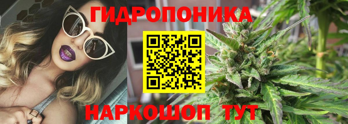 Шишки марихуана марихуана  Марихуана White Widow  Кашира  Вход с VPN  Бошки марихуана SATIVA & INDICA 